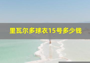 里瓦尔多球衣15号多少钱