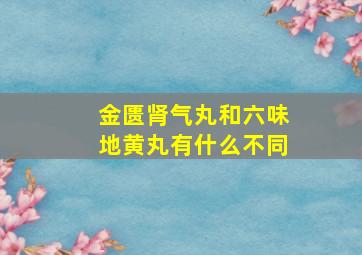 金匮肾气丸和六味地黄丸有什么不同