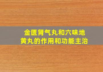 金匮肾气丸和六味地黄丸的作用和功能主治