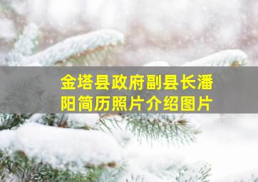 金塔县政府副县长潘阳简历照片介绍图片