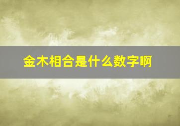 金木相合是什么数字啊