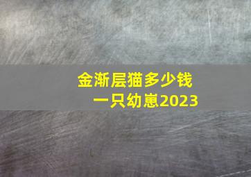 金渐层猫多少钱一只幼崽2023