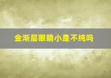 金渐层眼睛小是不纯吗