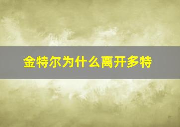 金特尔为什么离开多特