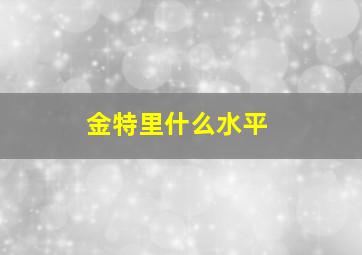 金特里什么水平