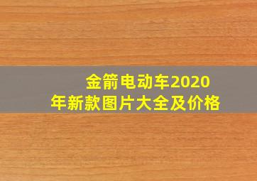 金箭电动车2020年新款图片大全及价格