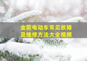 金箭电动车常见故障及维修方法大全视频