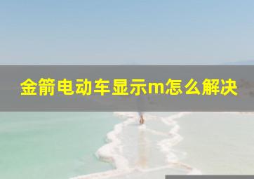 金箭电动车显示m怎么解决