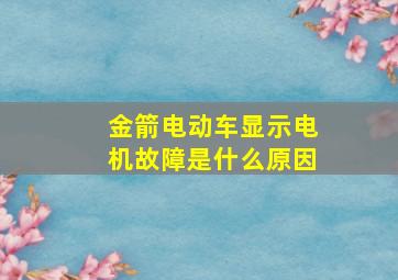 金箭电动车显示电机故障是什么原因