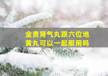 金贵肾气丸跟六位地黄丸可以一起服用吗