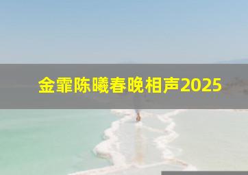 金霏陈曦春晚相声2025