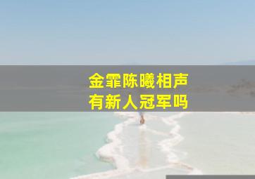 金霏陈曦相声有新人冠军吗