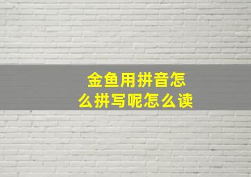 金鱼用拼音怎么拼写呢怎么读