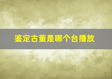 鉴定古董是哪个台播放