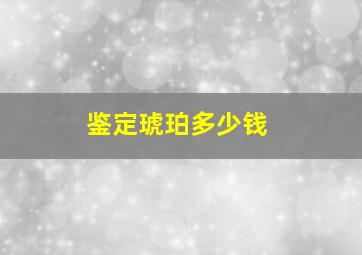 鉴定琥珀多少钱