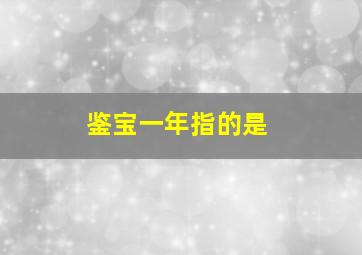 鉴宝一年指的是