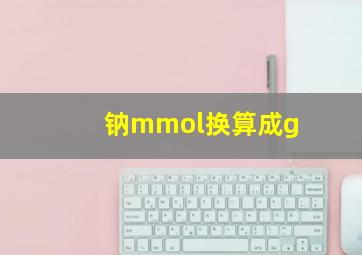 钠mmol换算成g