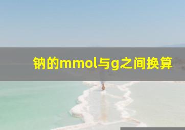 钠的mmol与g之间换算