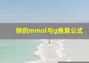 钠的mmol与g换算公式