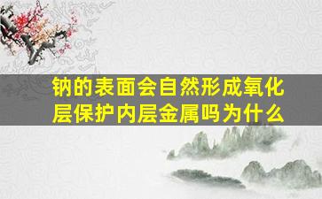 钠的表面会自然形成氧化层保护内层金属吗为什么