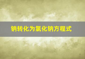 钠转化为氯化钠方程式