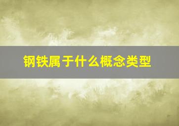 钢铁属于什么概念类型