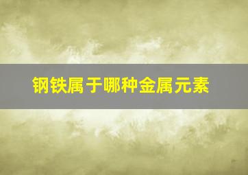 钢铁属于哪种金属元素