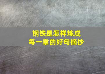 钢铁是怎样炼成每一章的好句摘抄