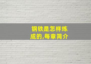 钢铁是怎样炼成的,每章简介