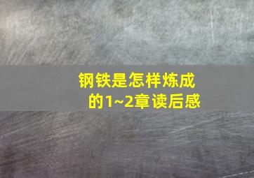 钢铁是怎样炼成的1~2章读后感