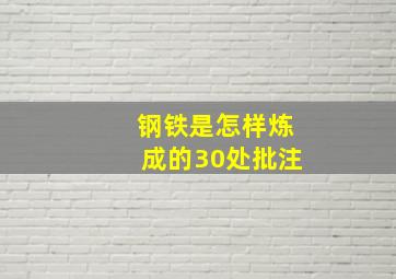 钢铁是怎样炼成的30处批注