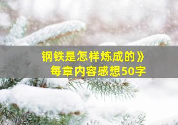 钢铁是怎样炼成的》每章内容感想50字