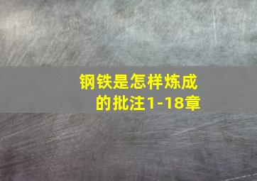 钢铁是怎样炼成的批注1-18章