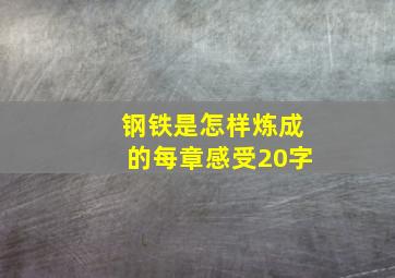 钢铁是怎样炼成的每章感受20字