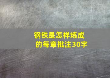 钢铁是怎样炼成的每章批注30字