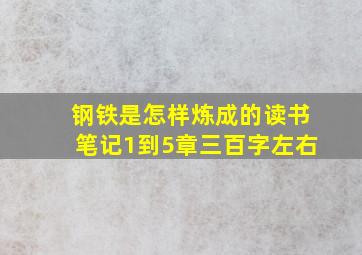 钢铁是怎样炼成的读书笔记1到5章三百字左右