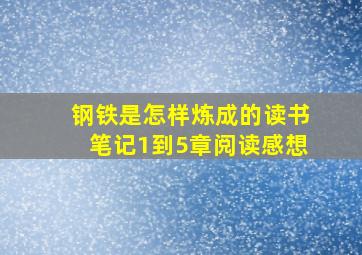 钢铁是怎样炼成的读书笔记1到5章阅读感想