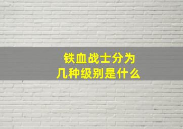 铁血战士分为几种级别是什么