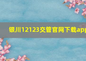 银川12123交管官网下载app