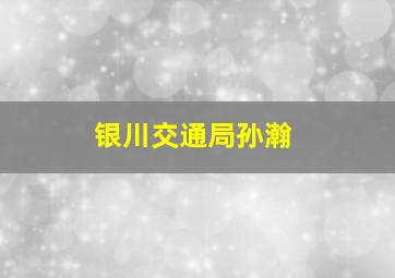 银川交通局孙瀚