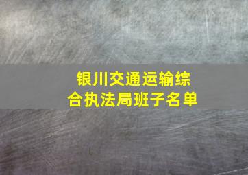 银川交通运输综合执法局班子名单