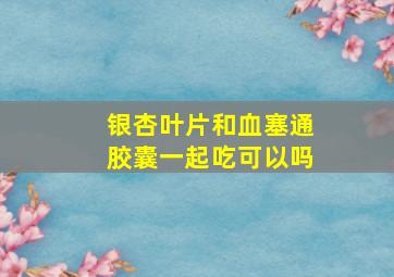 银杏叶片和血塞通胶囊一起吃可以吗