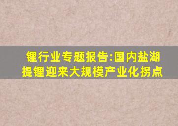 锂行业专题报告:国内盐湖提锂迎来大规模产业化拐点