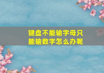 键盘不能输字母只能输数字怎么办呢