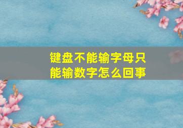 键盘不能输字母只能输数字怎么回事