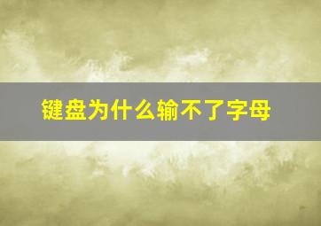 键盘为什么输不了字母