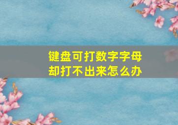 键盘可打数字字母却打不出来怎么办