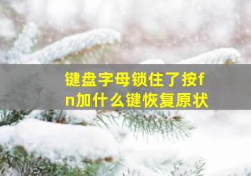 键盘字母锁住了按fn加什么键恢复原状