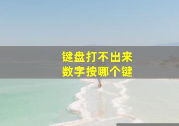 键盘打不出来数字按哪个键