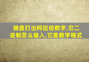 键盘打出阿拉伯数字,它二进制怎么输入,它是数字格式